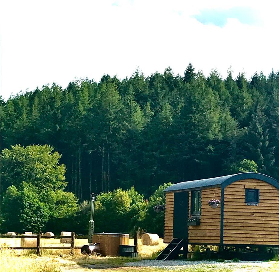 Roosters Retreat Βίλα Launceston Εξωτερικό φωτογραφία
